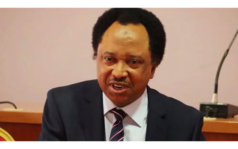 Rivers: If You’re In APC, It Means You’re In PDP And Those In PDP Means They Are In APC – Shehu Sani
