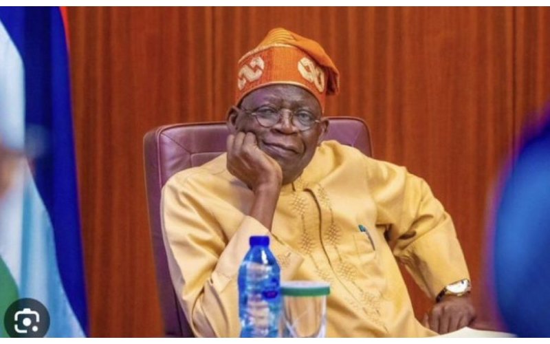 Presidency Reveals How Tinubu Saved Over 19 States from Bankruptcy