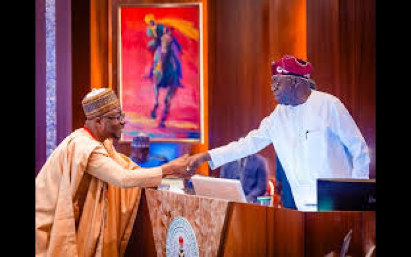 Tinubu Swears In Two New Ministers Before FEC Meeting