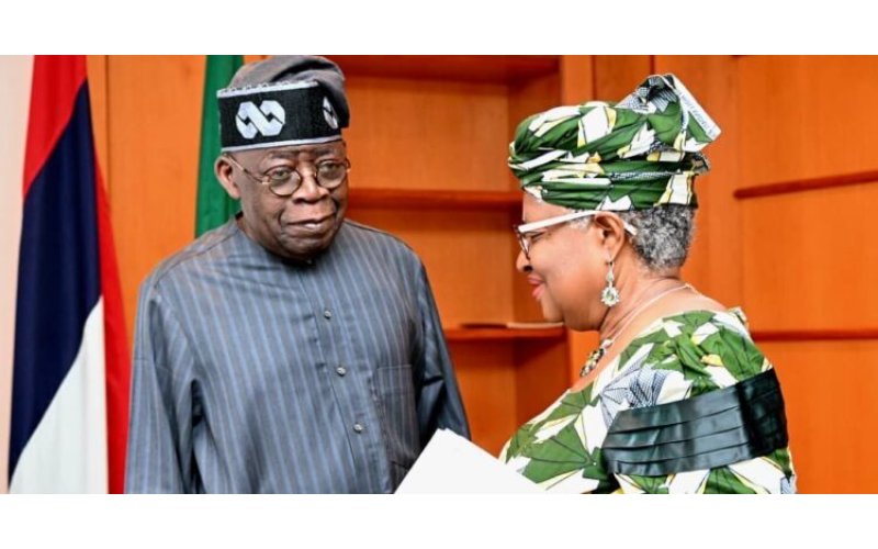 WTO Chief Commends Tinubu for Economic Stability, Announces Support for Nigerian Women Entrepreneurs