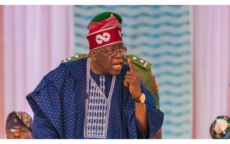 Tinubu Promises Safeguards Against Abuse as State Police Plan Advances