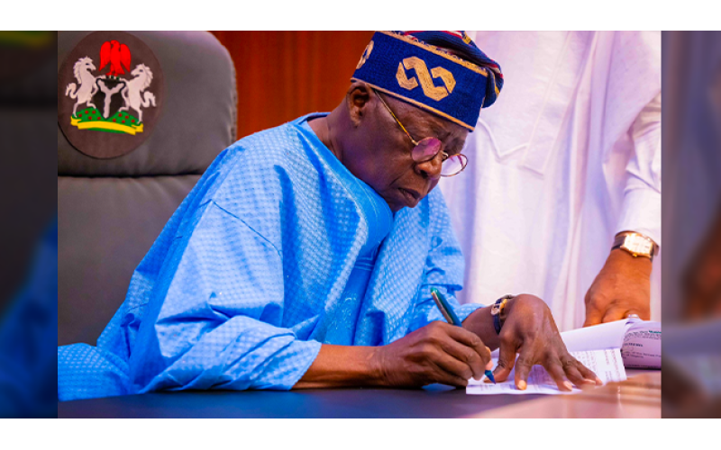 Tinubu Appoints John Nwabueze as Nigeria’s First Tax Ombudsman