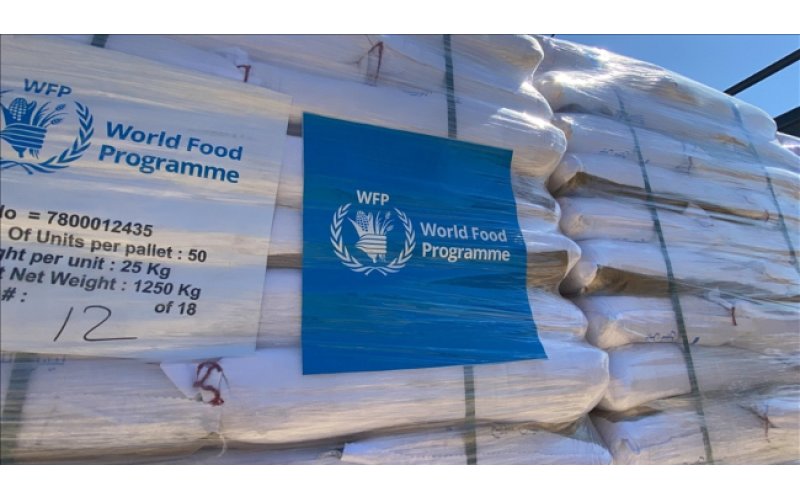 UN Warns of Looming Hunger Crisis in Northeast Nigeria as Aid Cuts Bite