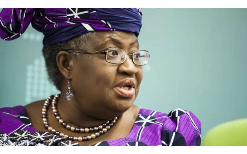 Shea butter, others from Nigeria below global standards, says WTO.