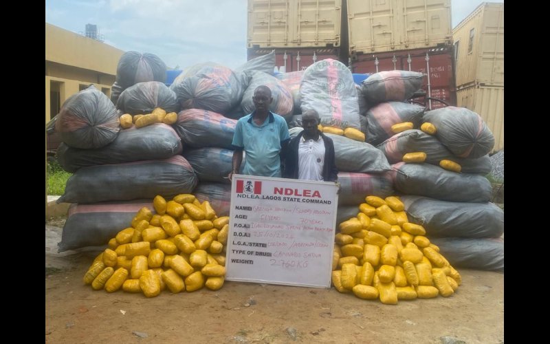 In midnight raid, NDLEA seizes 6 vehicles, 40ft trailer load skunk in Abuja