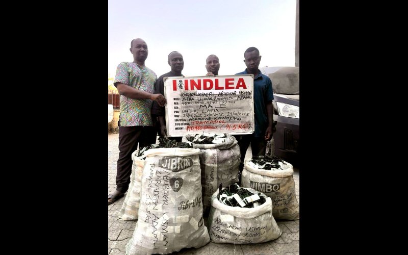 NDLEA busts trans-border drug cartel, arrests 4 members in Onitsha, Keffi