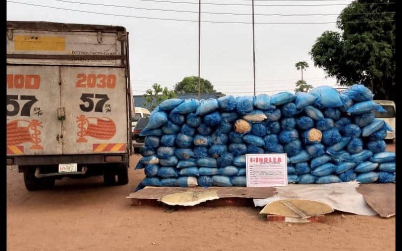 Turkey-bound businessman excretes 120 wraps of cocaine at Kano airport