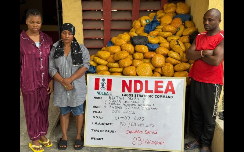 NDLEA intercepts Saudi, UK-bound cocaine in lipsticks, property title documents