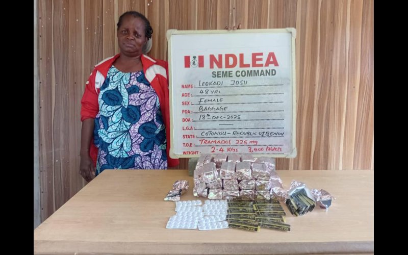 Female drug kingpin arrested in Lagos with 23.50kg cocaine stashed in her children’s room . 