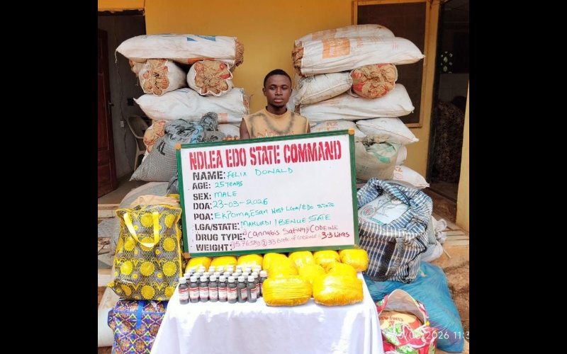 NDLEA intercepts large cocaine consignment concealed in heads of dry stock fish