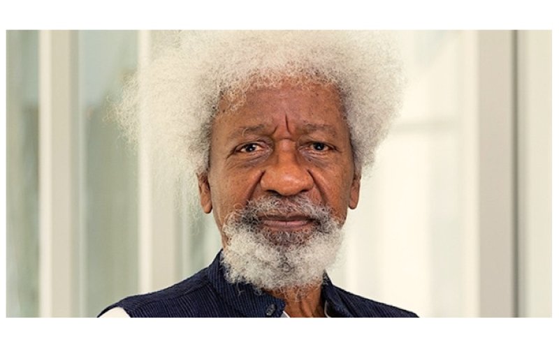 Wole Soyinka Says U.S. Revoked His Visa, Links Action to Criticism of Donald Trump