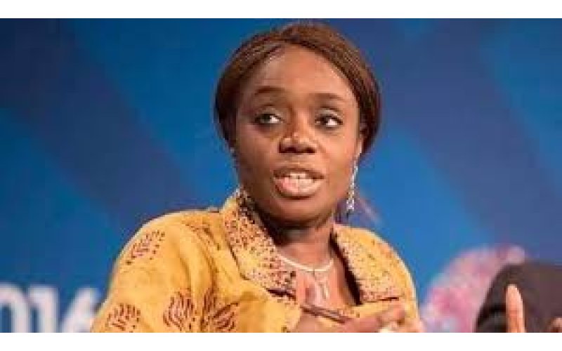 Adeosun Reveals How BVN Technology Exposed 45,000 Ghost Workers in Federal Payroll