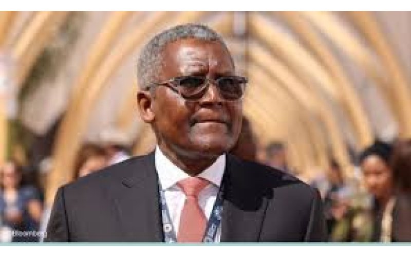 Dangote to Begin Coal Exports, Targets $7m Fertiliser Revenue Daily