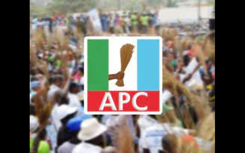APC stakeholders reject Edo gov primary result