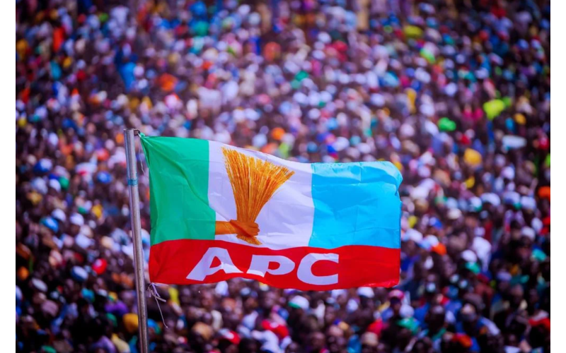 APC adopts indirect primary to pick candidate for Anambra governorship election 