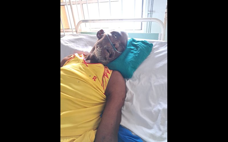 Frustrating news - prayers for ‘Apo’! 