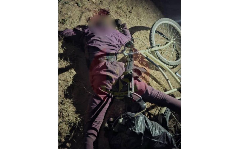 Operation HADIN KAI Foils Multiple ISWAP Attacks in Borno State