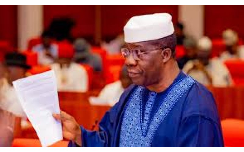 NEWS 2025 Budget, Tax Reform Bills, others Top Agenda for Legislative Action – Bamidele