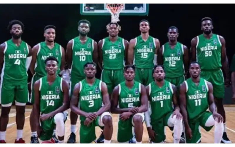 FG rallies to mobilise Nigeria’s D’Tigers for Afrobasket qualifier