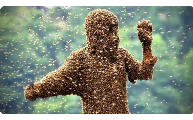 I Sent Bees to Attack Those Who Robbed My Shop Only to Discover My Wife Was Among Them: Are Women Truly Trustworthy?