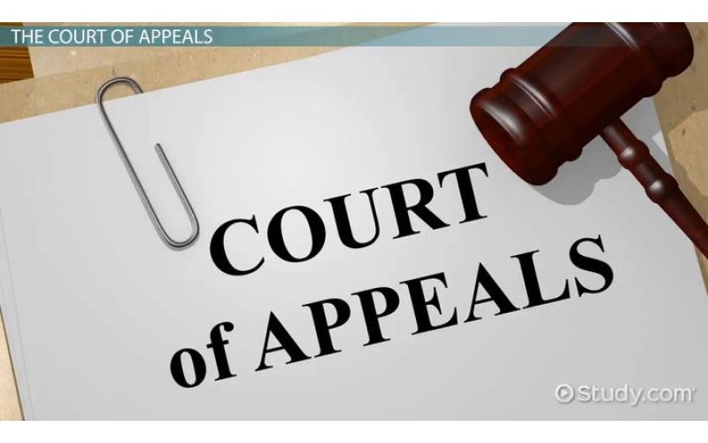 Appeal Court Set Aside Kano Anti-corruption Boss’ Suspension