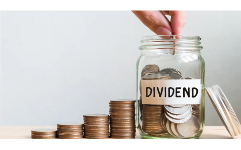 Nigeria’s Dividend Comeback: Earnings Rebound Sets Stage for Payout Revival in 2025