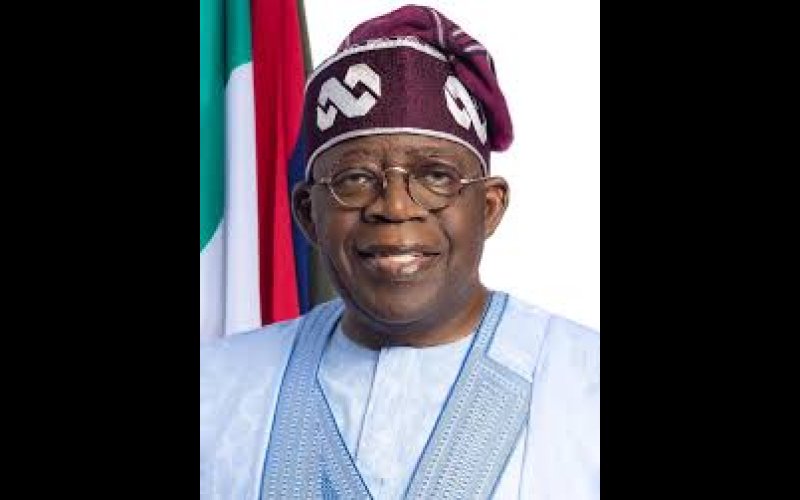 Tinubu's one year: Celebrating his distractions, denying our hunger