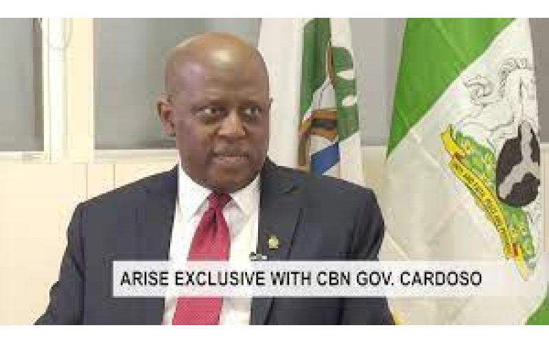 Cardoso: CBN Focused On Creating Transparent Market Systems, Increasing FX Inflow