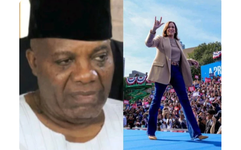 Kamala Said Those Who Shouted Jesus Were Wrong, That Was When Holy Spirit Crowned Trump – Doyin Okupe