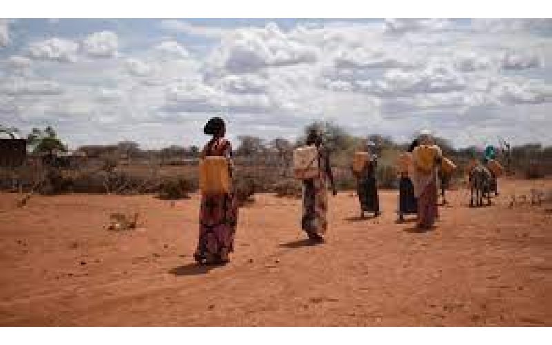 Ethiopia: UK warns of food crisis triggered by war and drought