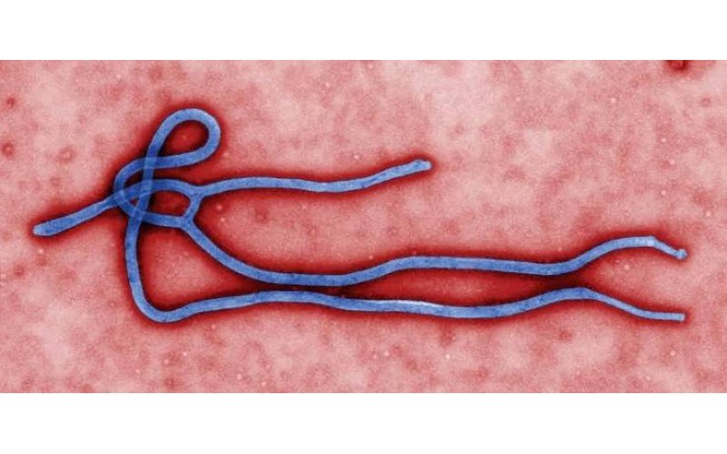 FG Releases ?21.2 Million to Each State to Boost Ebola Preparedness