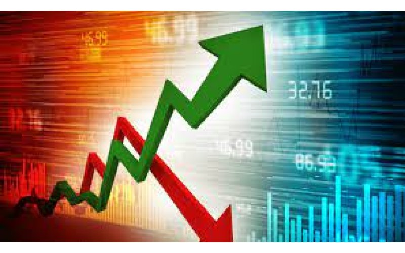 CBN Reforms To Yield Results In Q2 – Cedrus Boss, Olubusayo Adeniyi 