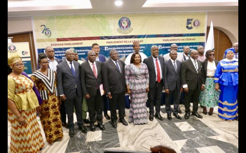 ECOWAS Parliament Speaker, others decry W/Africa’s high airfares