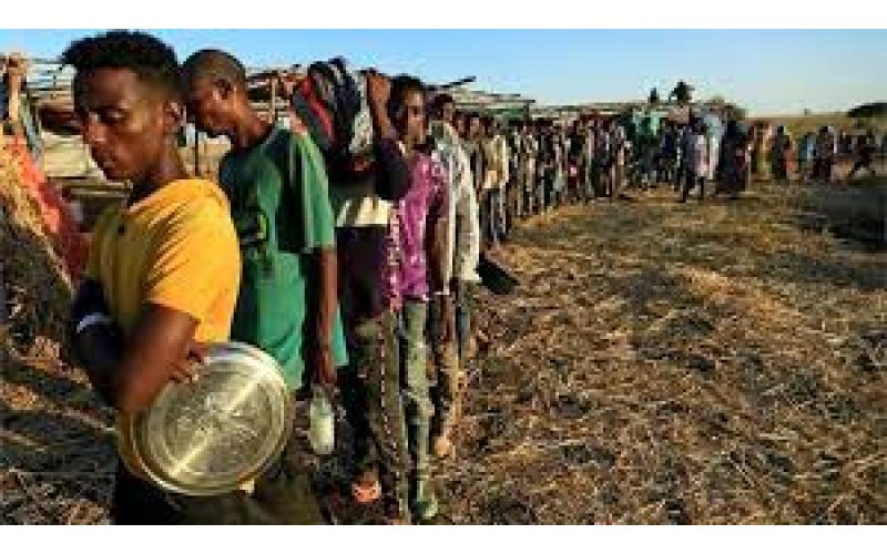 Amhara conflict: Ethiopians massacred in their homes by government troops