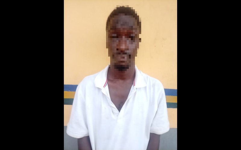 Ogun Police Arrest 23-Year-Old Over Serial Fake Bank Transfer Fraud in Agbado