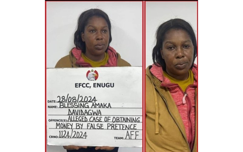 Alleged N28.2 Million Fraud: Court Denies Fake Nurse Bail,  Orders Accelerated Hearing