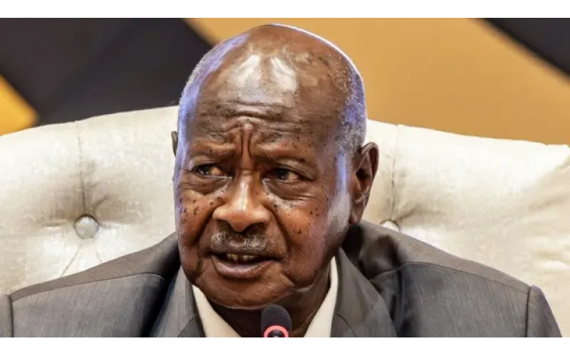 Ugandan TikToker jailed for insulting president
