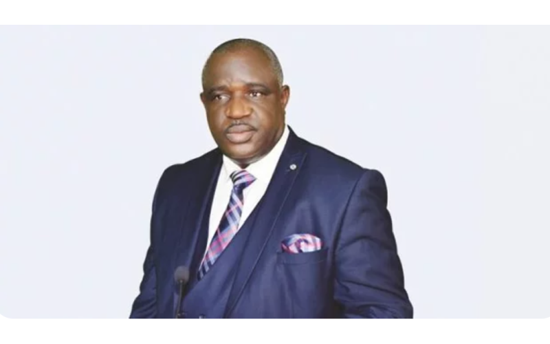 ‘I never called for Tinubu’s resignation as Petroleum minister, Kyari’s sack’