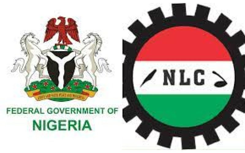 FG pledges to resume payment of wage award