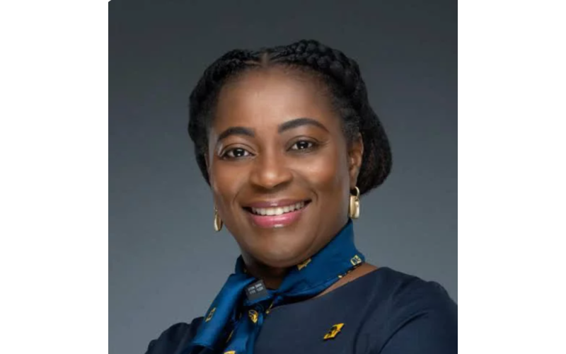 UPDATE; First Bank’s Marketing Head, Folake Ani-Mumuney, Resigns Amid Scandal Over Lavish Party Approval