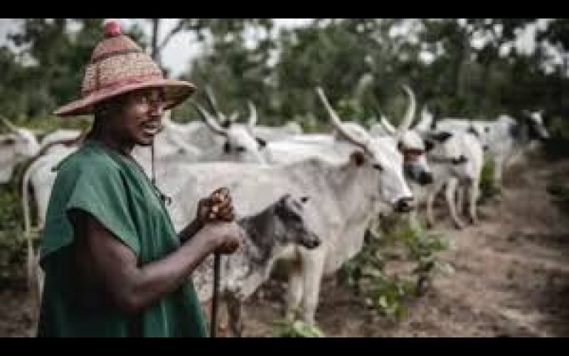 Fulani herdsmen given 48-hour ultimatum to vacate Benue community