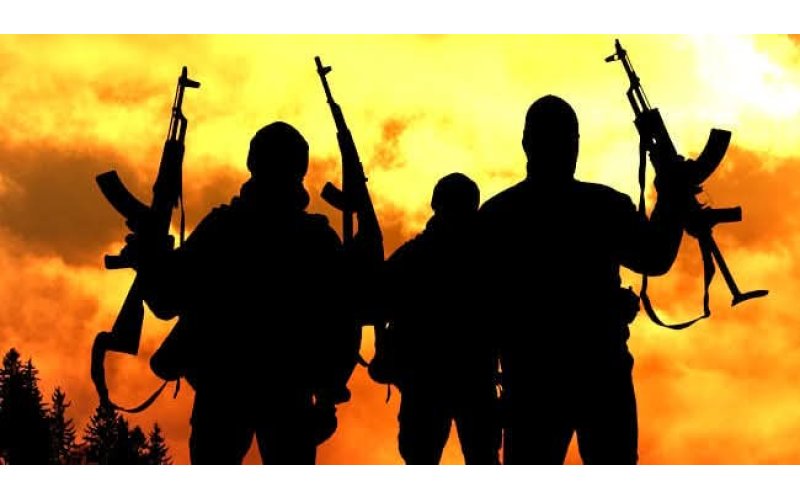 18 Feared Dead as Bandits Launch Deadly Night Attack on Zamfara Communities