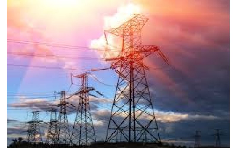 Adamawa police arrest man who climbed high tension pole to call for President Tinubu’s resignation