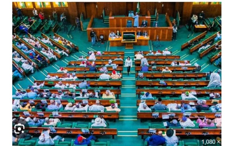 Reps panel probes N200bn CBN loan to DISCOs