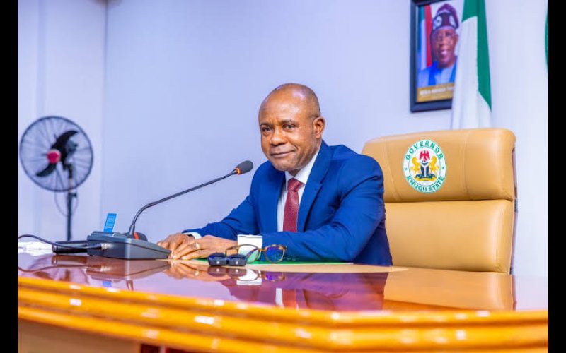 Farming On Onitsha Seaport: Enugu In Gov Mba's Hands