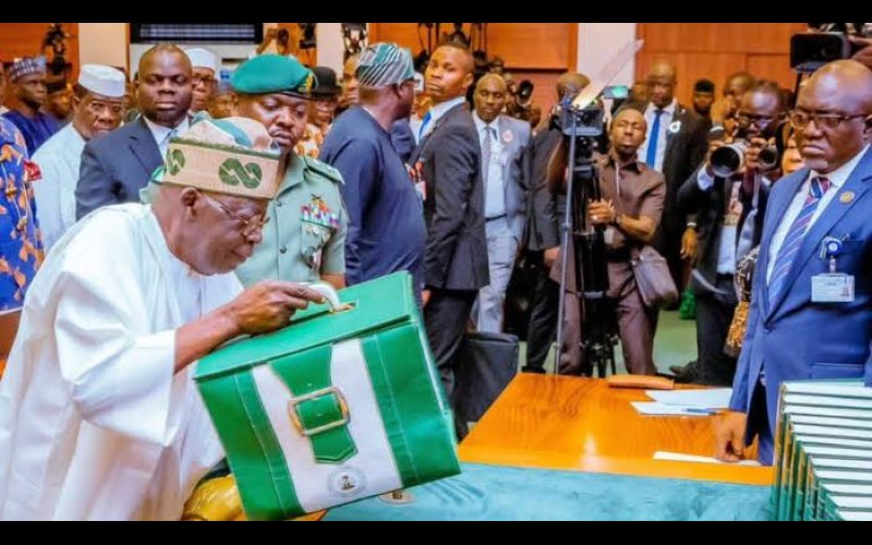 Like Buhari, Tinubu starts strong with budget padding