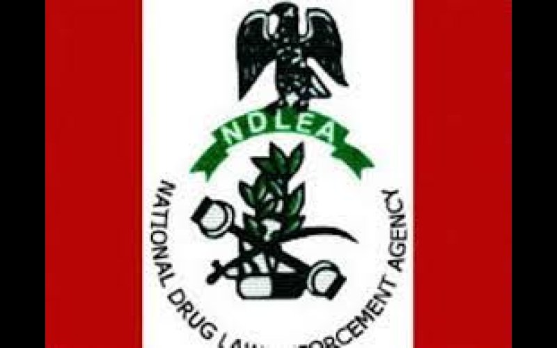 NDLEA intercepts codeine shipment from India, US,UK-bound opioids in ladies’ hair