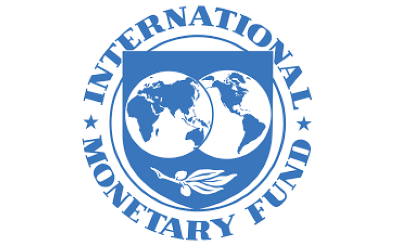 IMF Confirms Return Of Petrol Subsidy Under Tinubu 