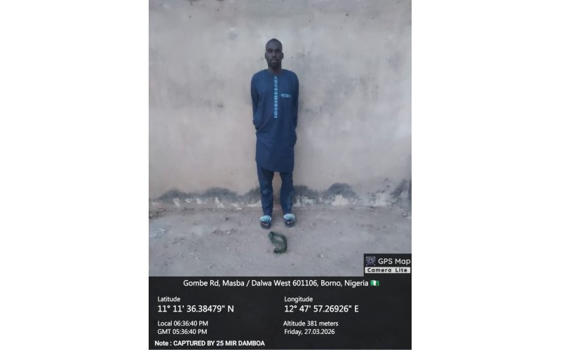 Troops Arrest Suspected Terrorist Collaborator in Borno