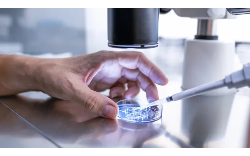 Major Alabama hospital pauses IVF after court rules frozen embryos are children